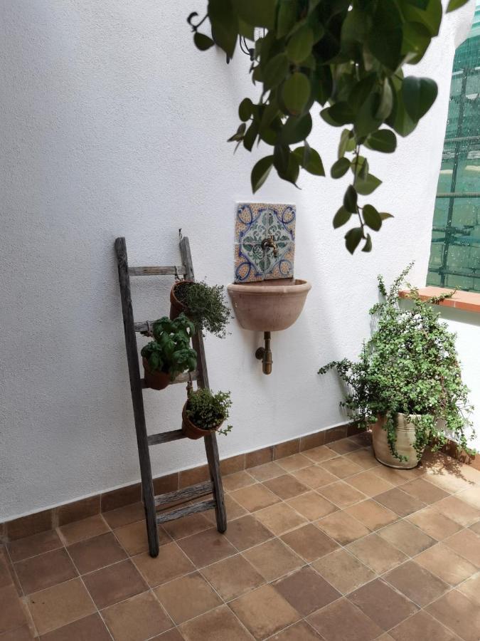 Il Terrazzino Sul Kemonia Διαμέρισμα Παλέρμο Εξωτερικό φωτογραφία