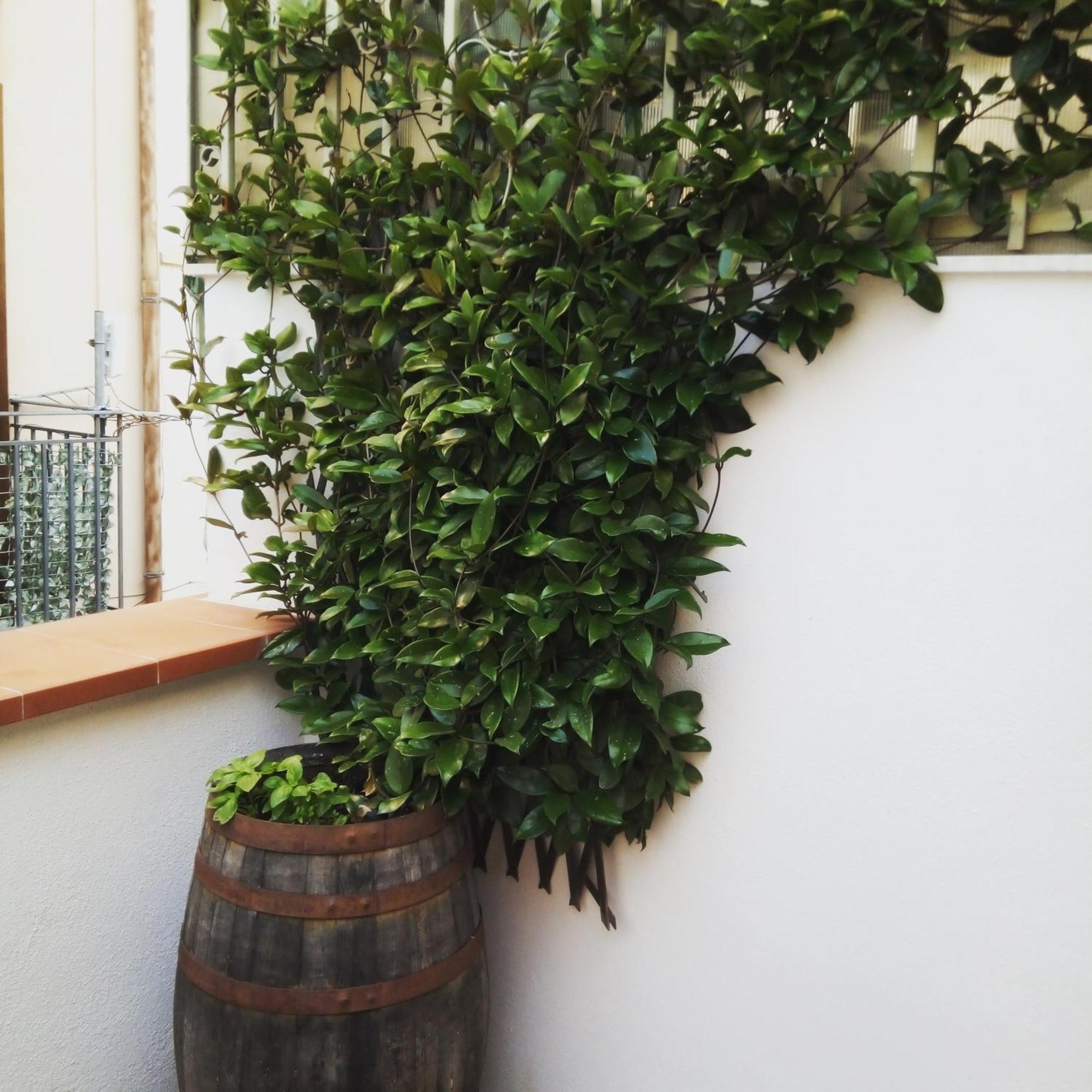 Il Terrazzino Sul Kemonia Διαμέρισμα Παλέρμο Εξωτερικό φωτογραφία